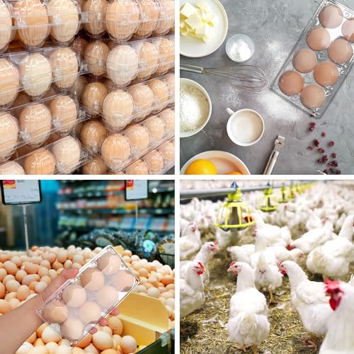 150 Pack Bulk Egg Cartons (8 Grids)