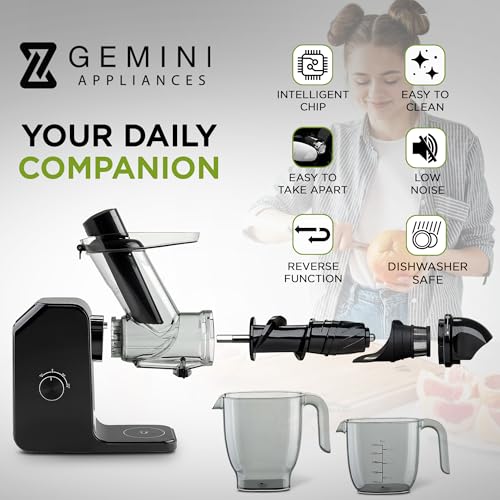 Cold Press Juicer Machine (Black)