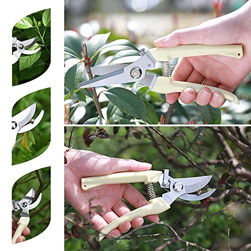 Garden Shears Set of 2 (Straight+Bypass)
