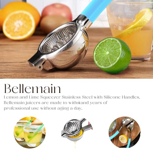 Metal Lemon Squeezer