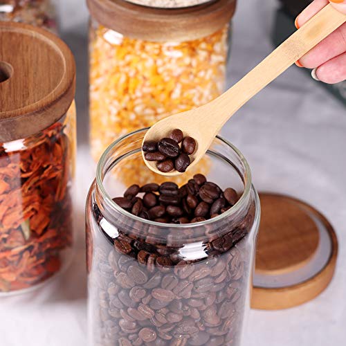 Stackable Kitchen Canisters Set of 8 (8set Regular Acacia Lids)