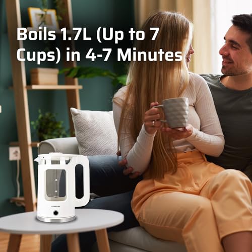 1.7L Glass Electric Kettle (EK White Vented)