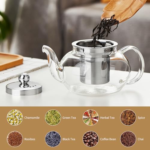 Small Glass Teapot with Infuser (Transparent / 18OZ)