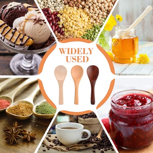 24 Pcs Small Wooden Spoons (Multiple Color)