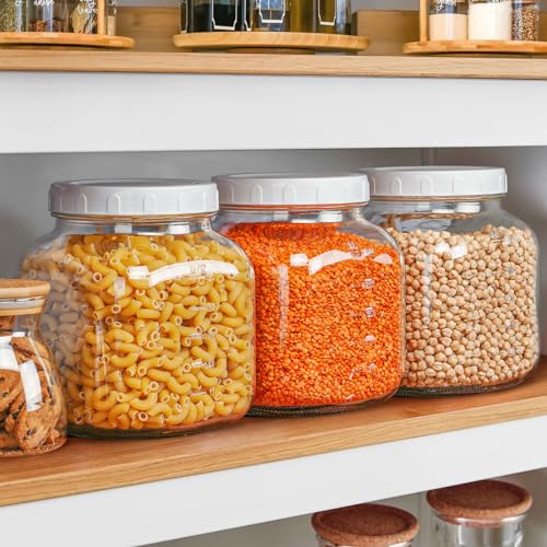 0.8Gal Glass Jar with Lid (0.8 Gallon)
