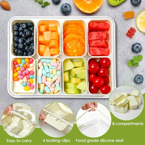 Divided Serving Tray with Lid and Handle (2pcs Serving Tray)