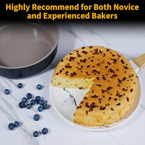 9.5 Inch Round Cake Pan (20 Ounce)