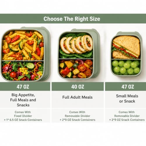 Flexibento Leak proof Stainless Steel Lunch Box Containers with Silicone Lids (ZA-Navy-47OZ-SetOf2)