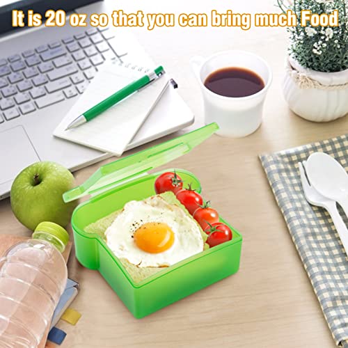 20 Oz Sandwich Containers for Kids (4 Colors)