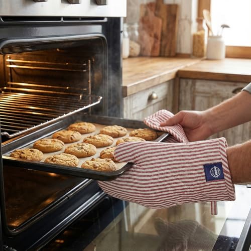 Oven Mitts and Pot Holders Set (Oven Glove + Pot Holder / Ticking Red)