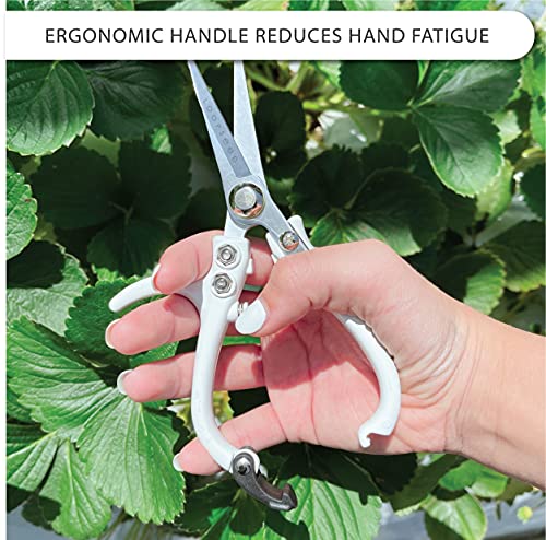 Precision Garden Shears with Vegan Leather Sheath (White & Black)