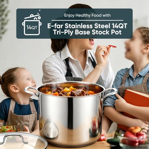 14 Quart Stainless Steel Stock Pot with Lid