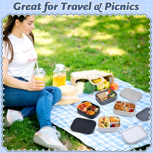 4 Pcs Silicone Bento Box (Gray Colors)