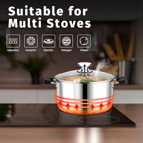 6 Qt Pot with Lid (6 Quarts)
