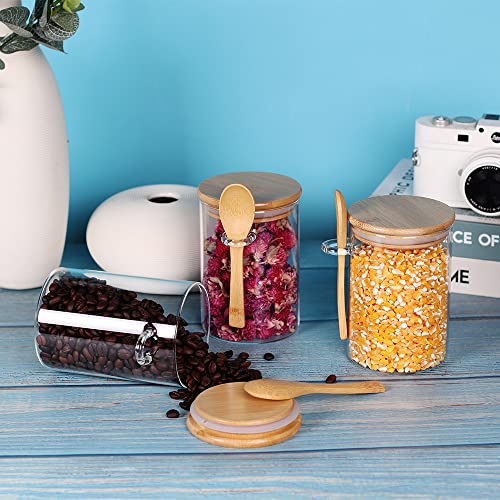 Glass Jar with Bamboo Lid and Spoon (Round/17oz*3/Bamboo Lid)