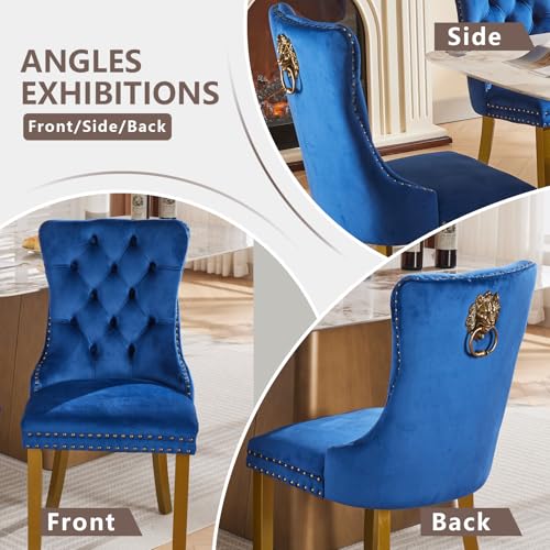 Blue Velvet Dining Chairs Set of 2 (Navy Blue)