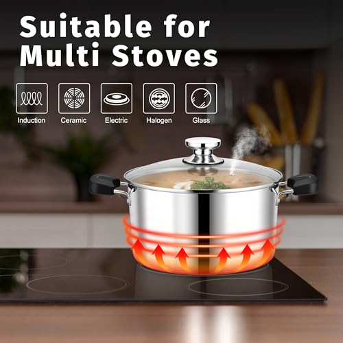 8 Qt Pot with Lid (8 Quarts)
