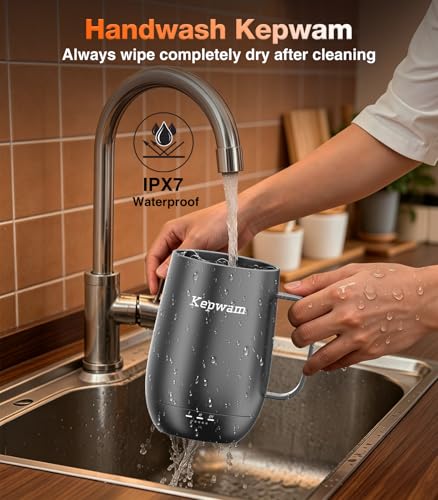 Heated Coffee Mug T2 (Black / 20oz)