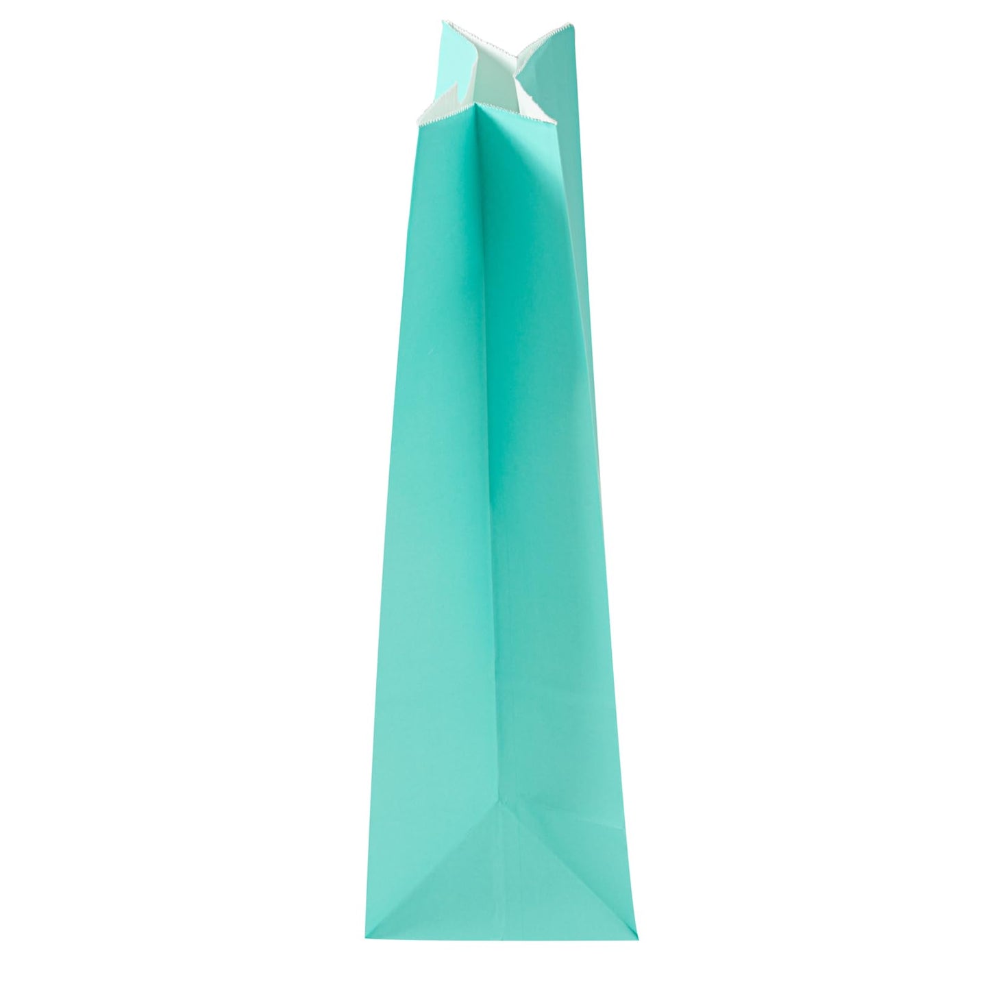 Turquoise Paper Bag (12 lb / Turquoise)