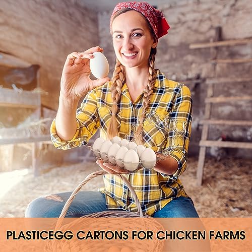Egg Cartons Cheap Bulk 100 Pack (100Pack-2x6 Grids)