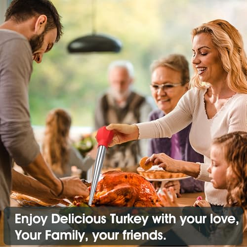 Large Turkey Baster with Cleaning Brush & Needle (Red)