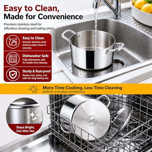 6 Quart Stock Pot (6 Quarts)