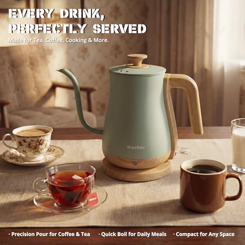 Gooseneck Electric Kettle (Light Green / 0.8 Quarts)