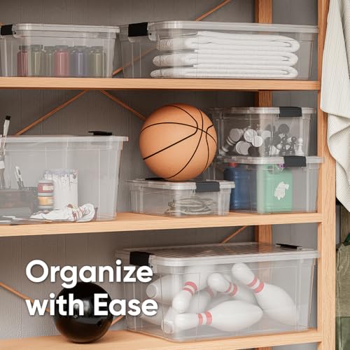 2.3 Quart Clear Plastic Storage Containers with Lids (2.3 Quart)