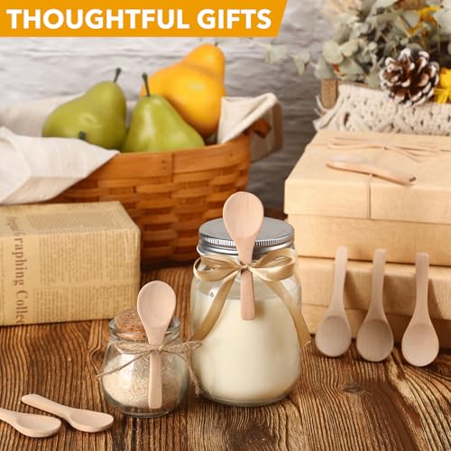 100 Pcs Small Wooden Spoons (100 Count)