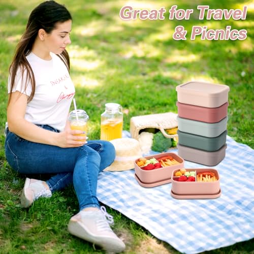 6 Pcs Silicone Bento Box (6 Count)
