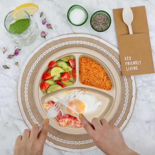100PCS 100% Compostable 10in Brown Paper Plate (Original / 10in Sectional(100count))
