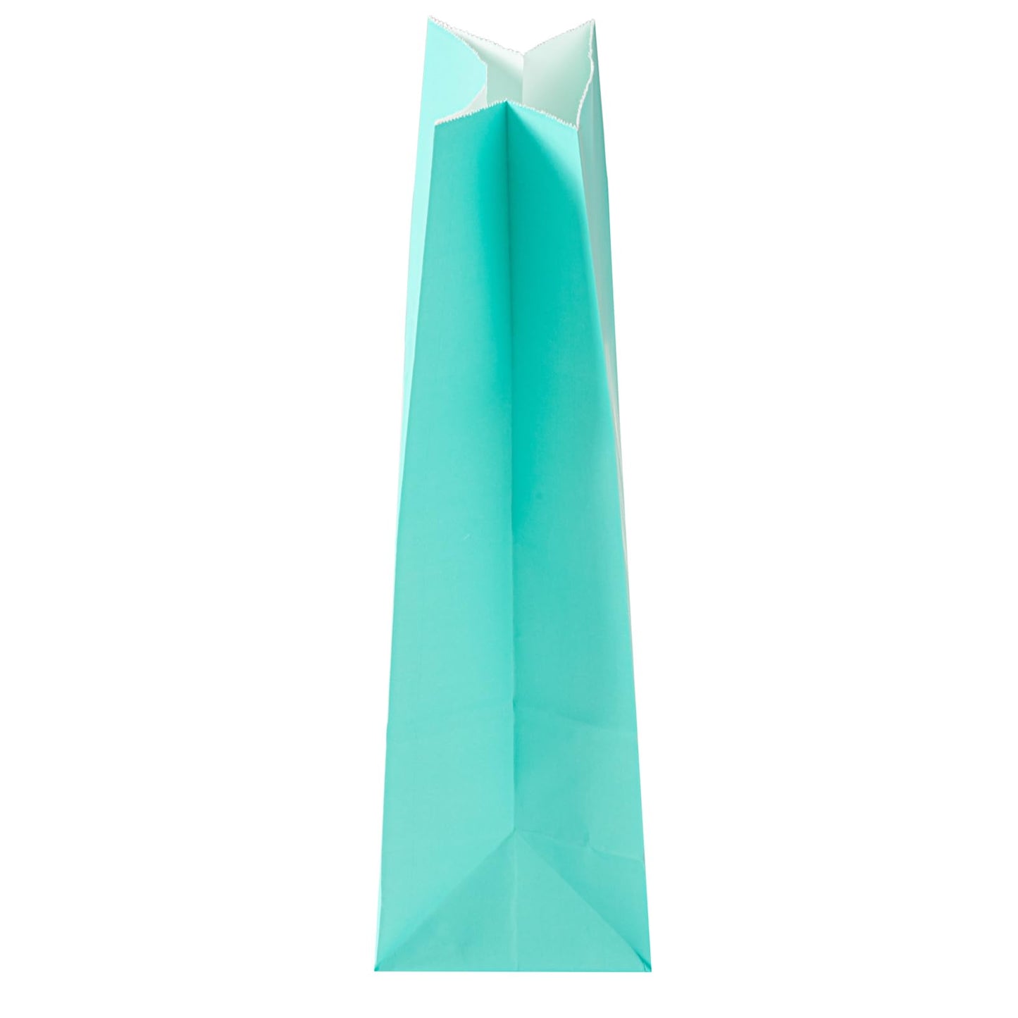 Bakery Bags 100 Pack of 6.1 x 4 x 11.8 Inches Grease (8 lb / Turquoise)