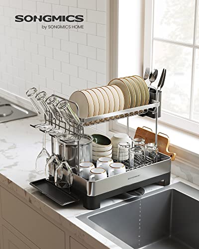 2 Tier Dish Drying Rack for Kitchen Counter (Silver + Black)