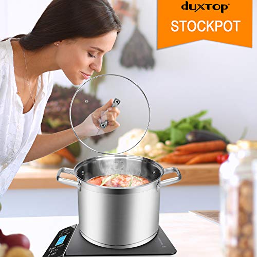 Stainless Steel Stock Pot with Lid (9.1 Quarts)
