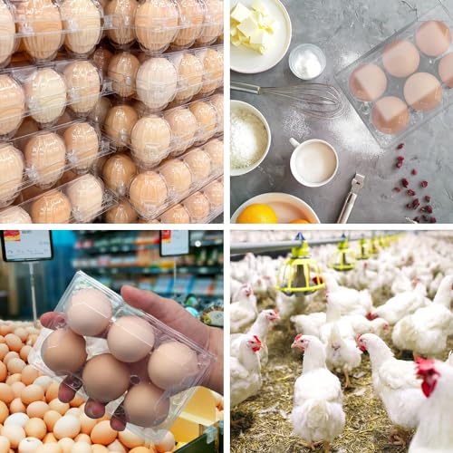 150 Pack Half Dozen Egg Cartons Bulk (6 Grids)