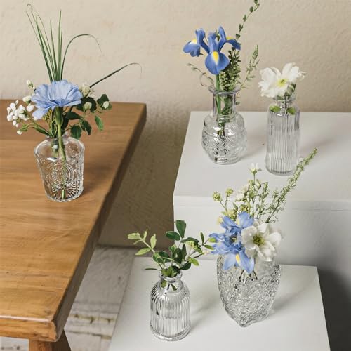 Glass Bud Vase Set of 24 Pcs Small Minimalist Vases for Flowers (Clear)