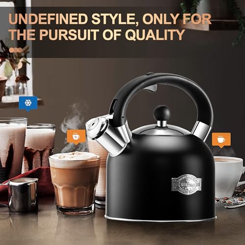 Tea Kettle 3.17QT Stainless Steel Whistling Tea Pot (Black)
