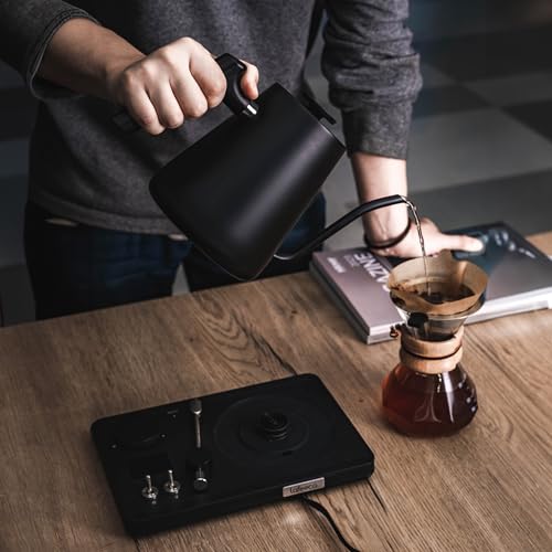 DJ Electric Gooseneck Kettle (1 Quarts / Black)
