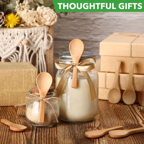 100 Pcs Small Wooden Spoons (100 Count)
