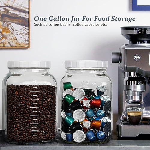 2 Pack Wide Mouth 1 Gallon Clear Glass Jar with Lid (1 Gallon)
