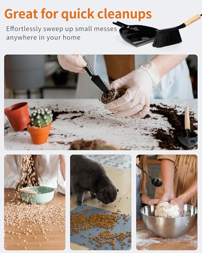 Dustpan and Brush Set