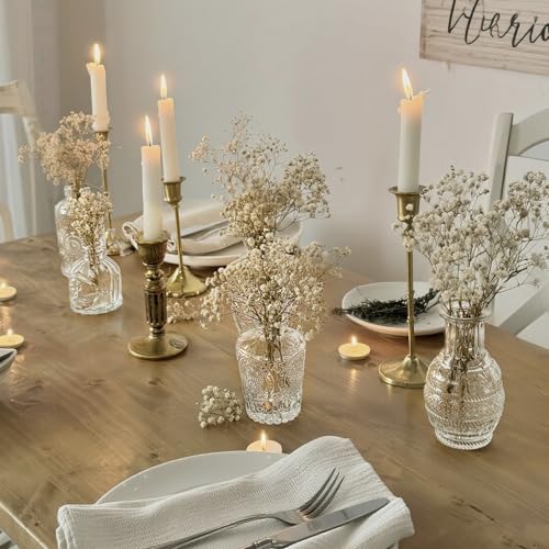 Glass Bud Vase Set of 33 Pcs Small Minimalist Vases for Flowers (Clear)