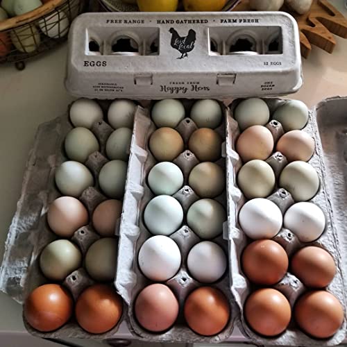 90 Egg Cartons (Locally Laid Hen / 90)