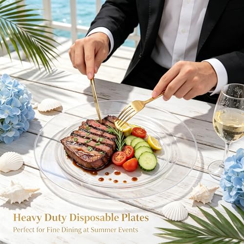 60PCS Clear Plastic Plates (60 Count)
