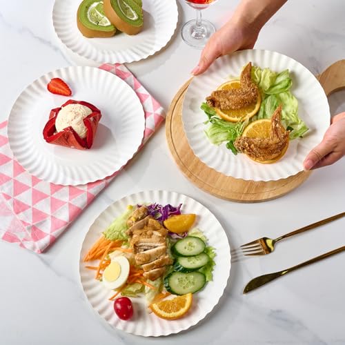 9 Inch Paper Plates (300 Count (Pack of 1,9 Inch))