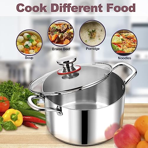 6QT 18 10 Stainless Steel Stockpot with Lid (6 Quarts)