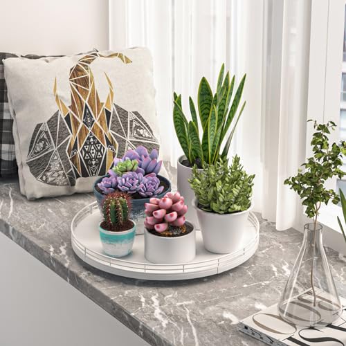 13 Inch Oak Decorative Tray for Coffee Table and Vanity (White / 13)
