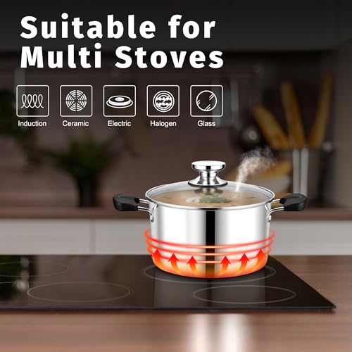 5 Qt Pot with Lid (5 Quarts)