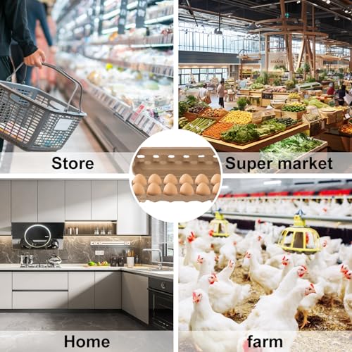 25 Pack Egg Cartons Bulk (Dozen)