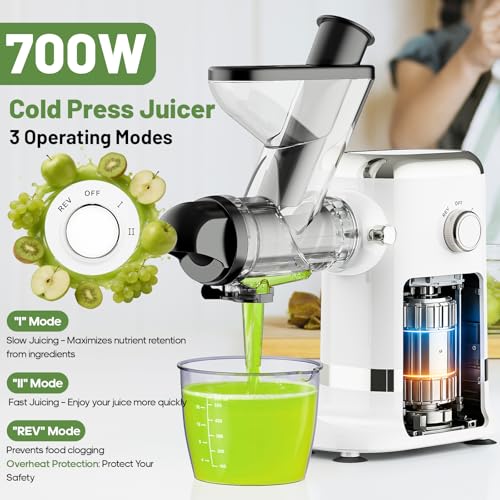 Electric Cold Press Juicer (Black)